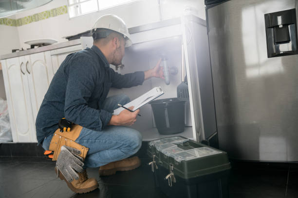 Best Commercial Plumbing Services  in Webster Groves, MO
