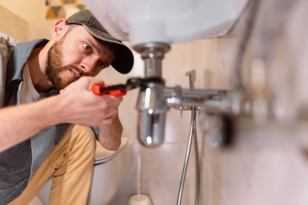 Best Septic Systems  in Webster Groves, MO