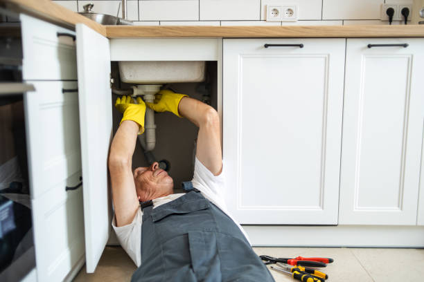 Best Same-Day Plumbing Service  in Webster Groves, MO