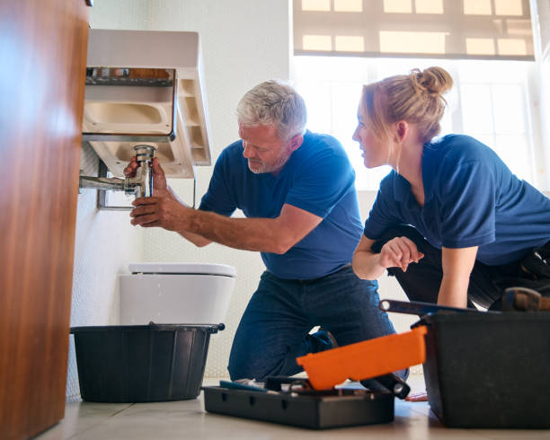 Best Affordable Plumbing Services  in Webster Groves, MO